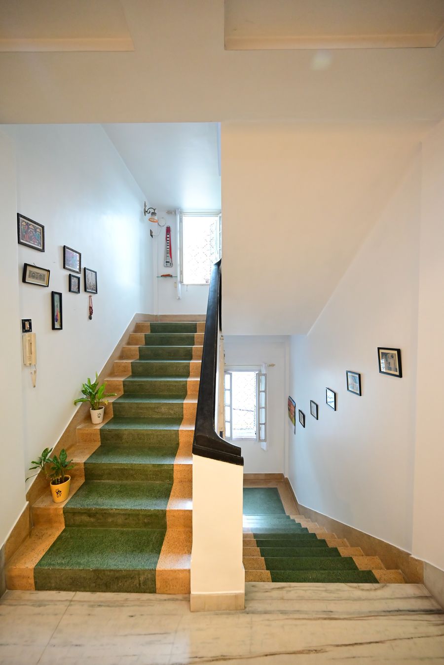 Staircase with gallery wall and plants